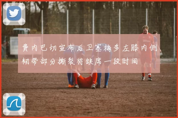 费内巴切宣布后卫塞梅多左膝内侧韧带部分撕裂将缺席一段时间