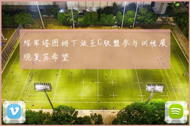 绿军塔图姆下放至G联盟参与训练展现复苏希望