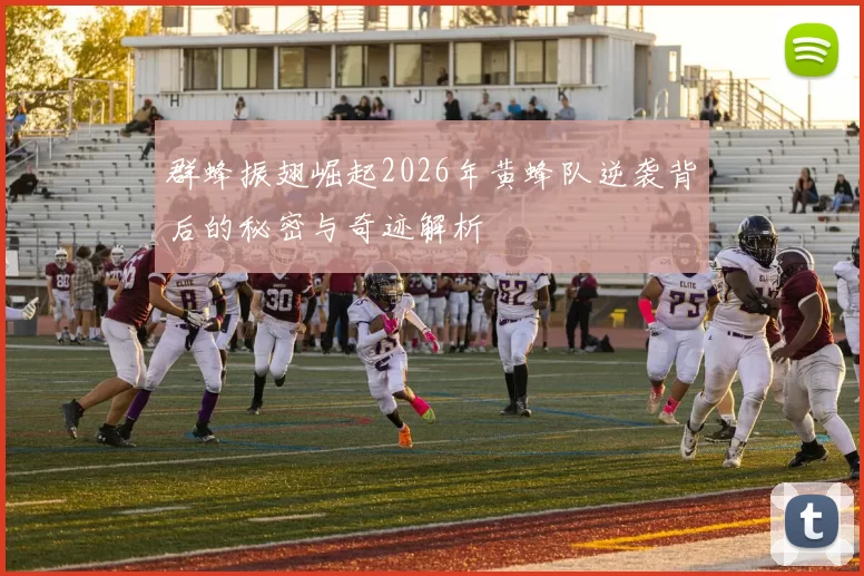 群蜂振翅崛起2026年黄蜂队逆袭背后的秘密与奇迹解析